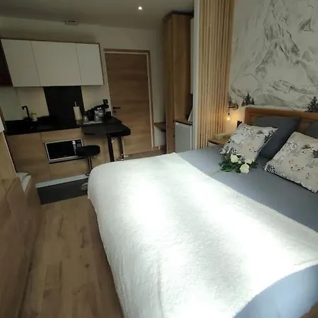 Apartament Sublime Proche Du Avec Parking Prive
